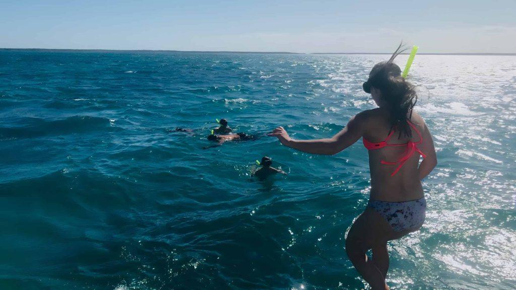 Seafari με Καταμαράν: Υποβρύχιες Ομορφιές, Γαστρονομικές Απολαύσεις και μία Μαγευτική Επαφή με Δελφίνια photo 3