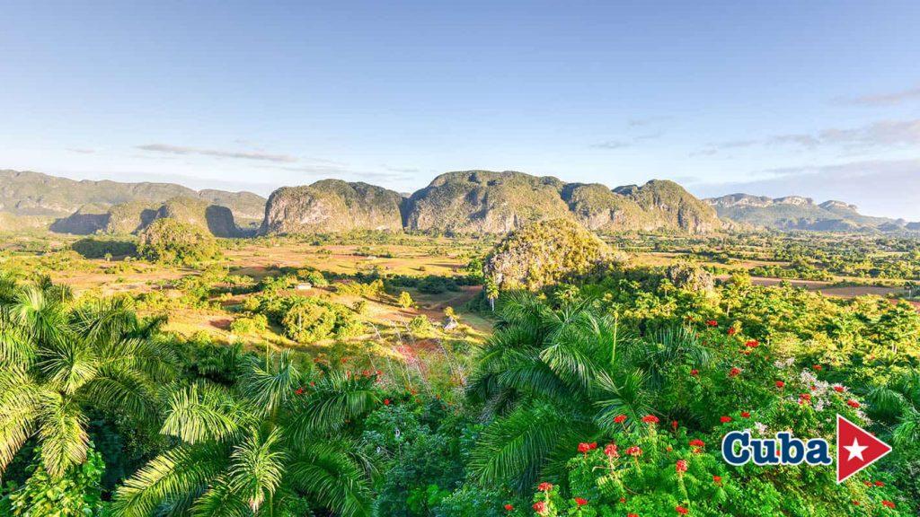 The Aroma of Habanos: Nature & Tradition in Viñales photo 3