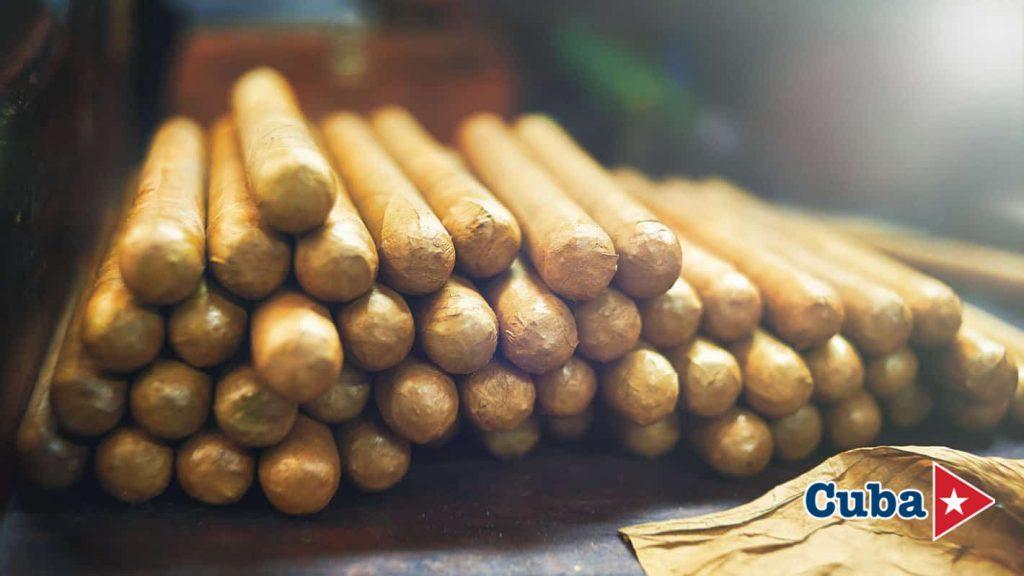 The Aroma of Habanos: Nature & Tradition in Viñales photo 9