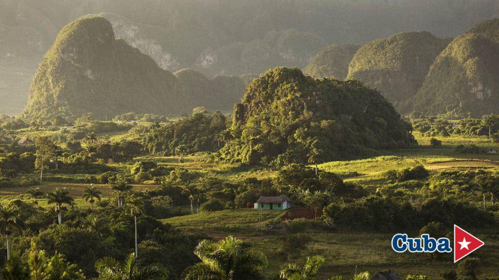 The Aroma of Habanos: Nature & Tradition in Viñales photo 4
