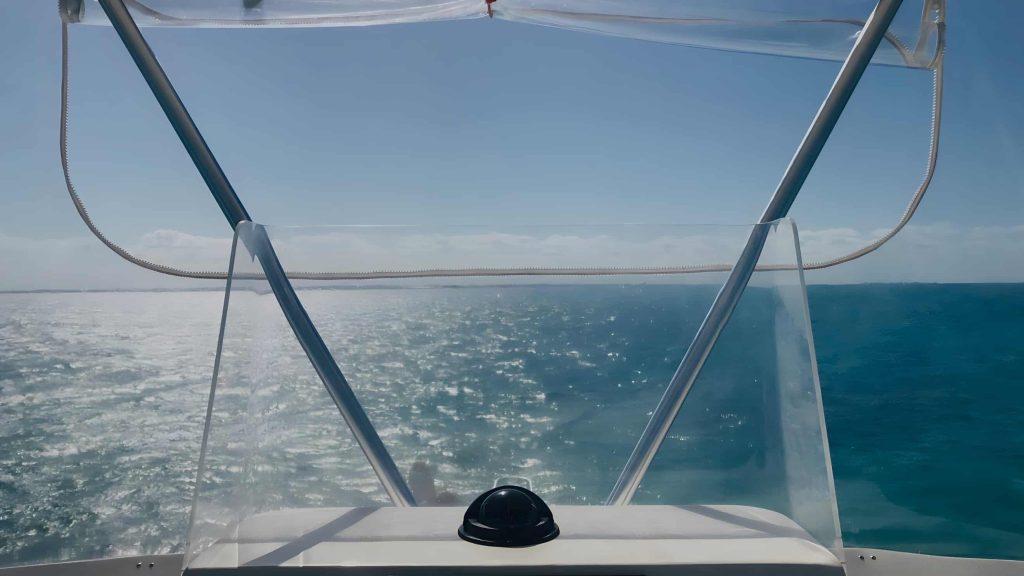 Seafari με Καταμαράν: Υποβρύχιες Ομορφιές, Γαστρονομικές Απολαύσεις και μία Μαγευτική Επαφή με Δελφίνια photo 2